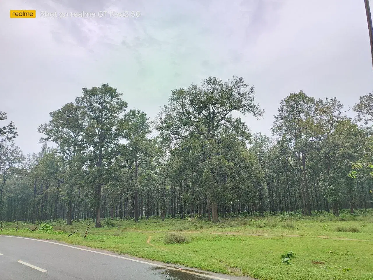 BIT Mesra Campus photo 15